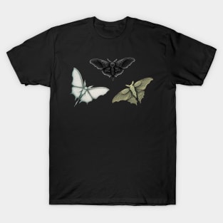 Gothic Moth Pack T-Shirt